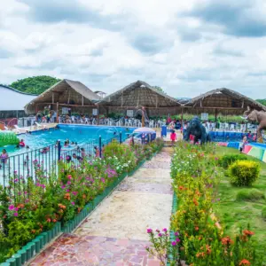 Pasadía Tradicional